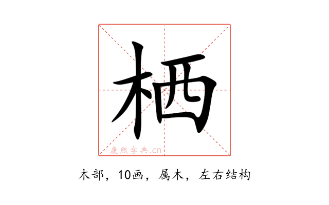 栖
