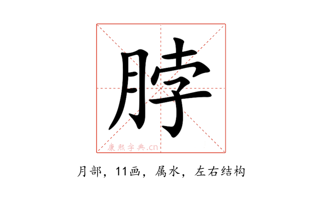 脖