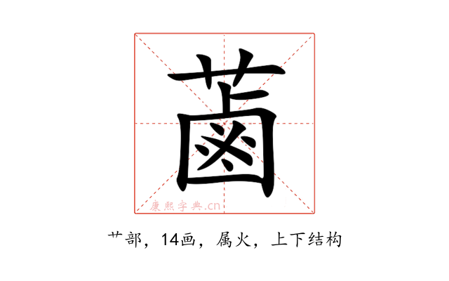 蓾