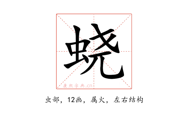 蛲