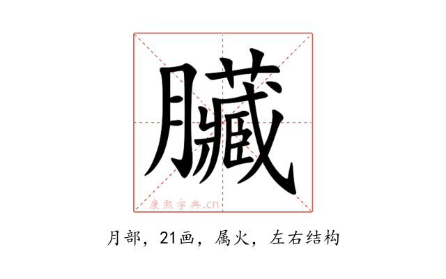 臟