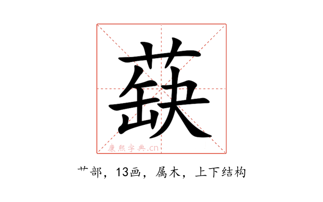 蒛