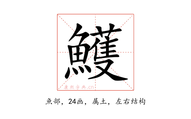 鱯