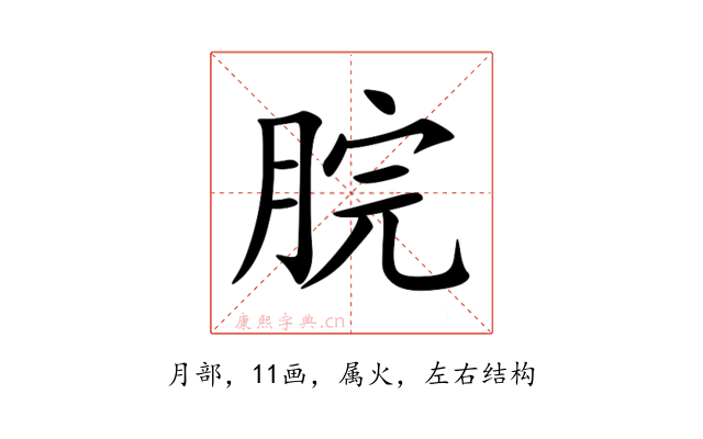 脘