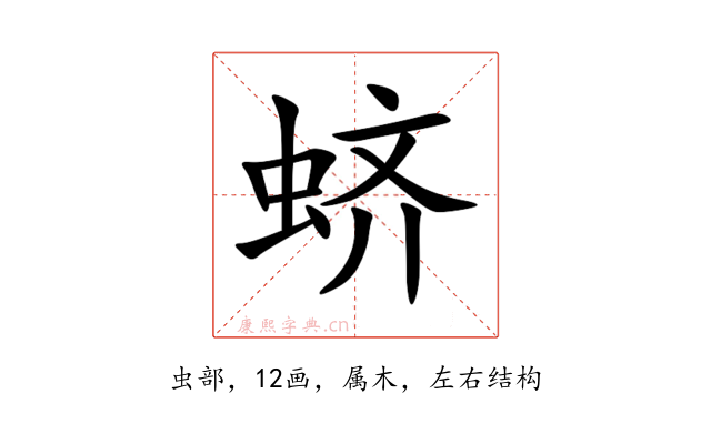 蛴