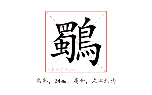 鸀