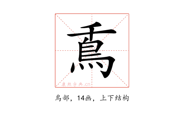 𩾭