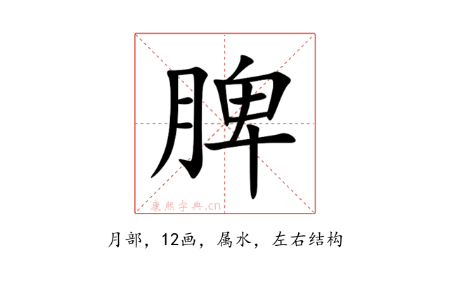 脾
