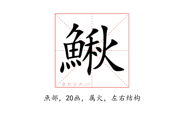 鰍