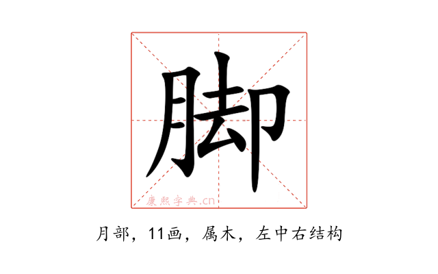 脚