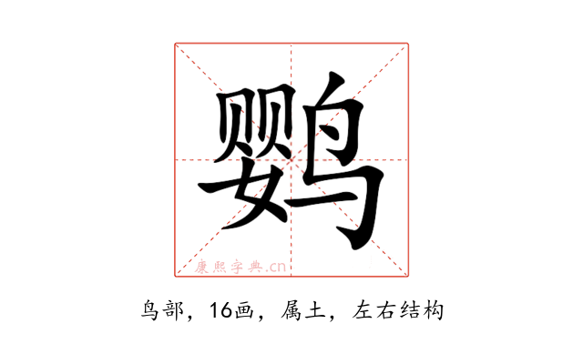 鹦