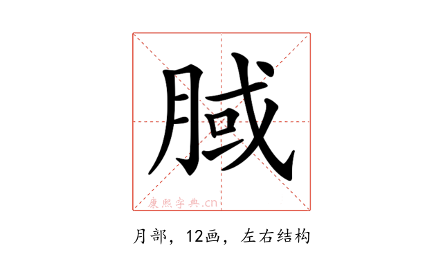 𣍻