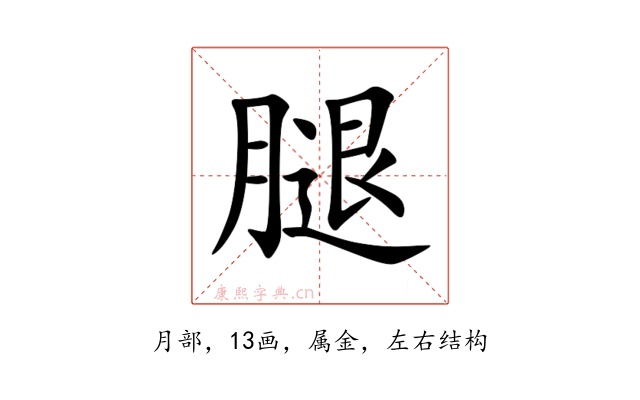 腿