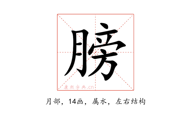 膀