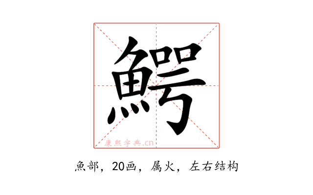 鰐