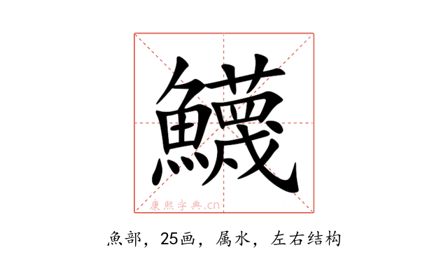 鱴