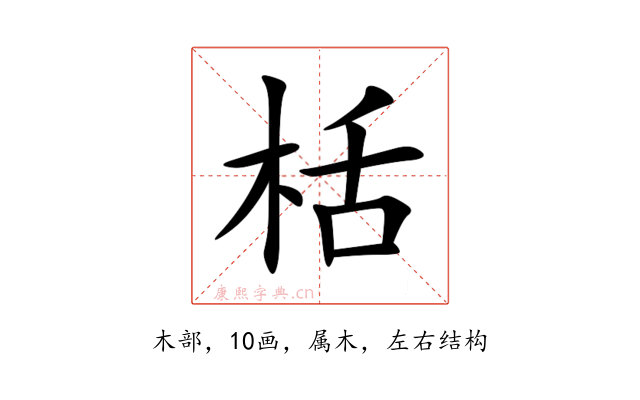 栝