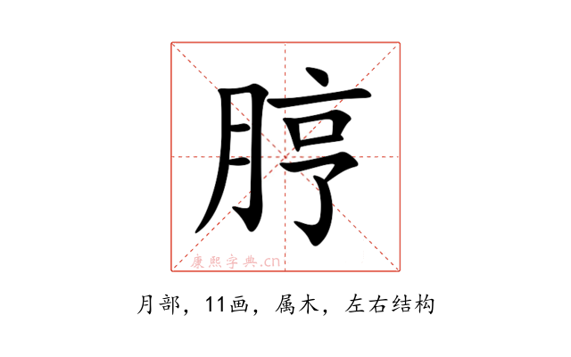 脝