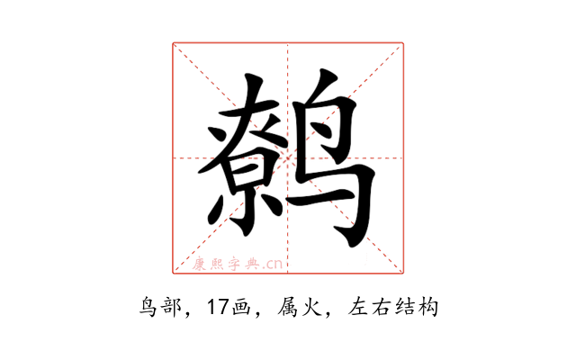 鹩