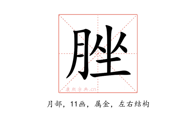 脞