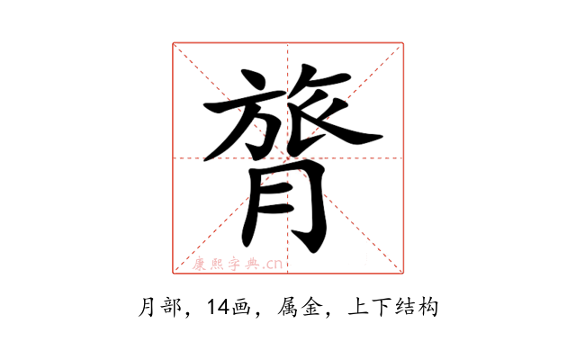 膂