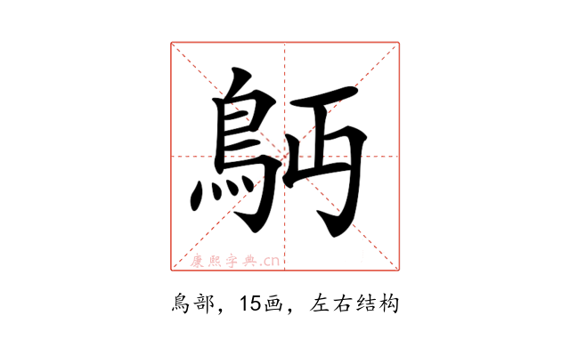 𩾳