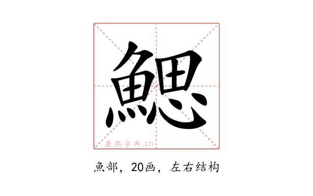 鰓