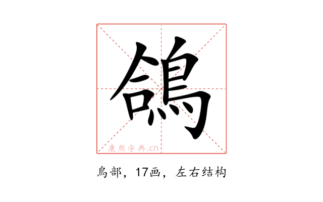 鴿