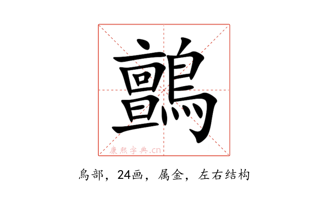 鸇