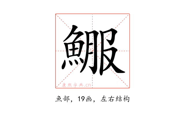𩸤