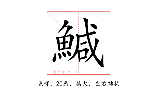 鰔