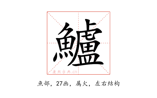 鱸
