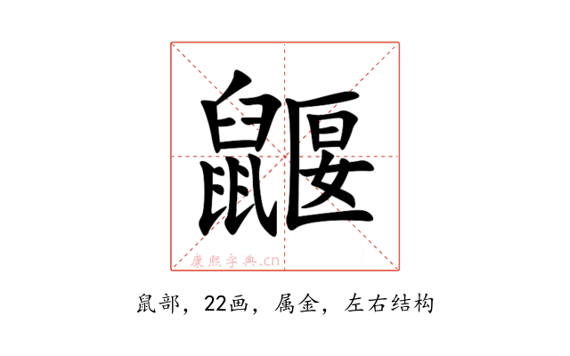 鼴