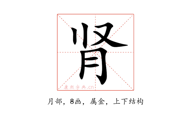 肾
