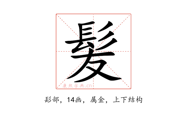 髪