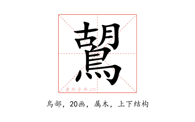 鶦