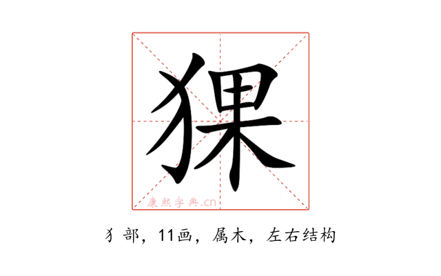 猓
