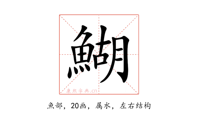 鰗