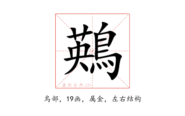 鶧