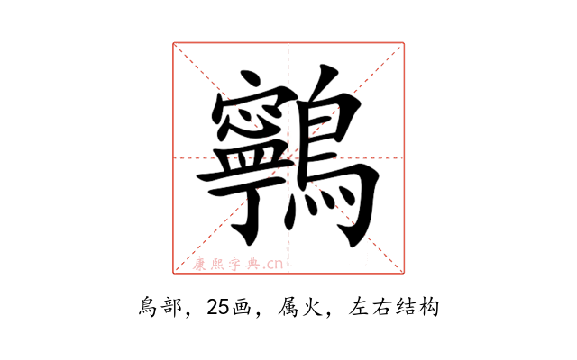 鸋