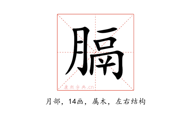 膈