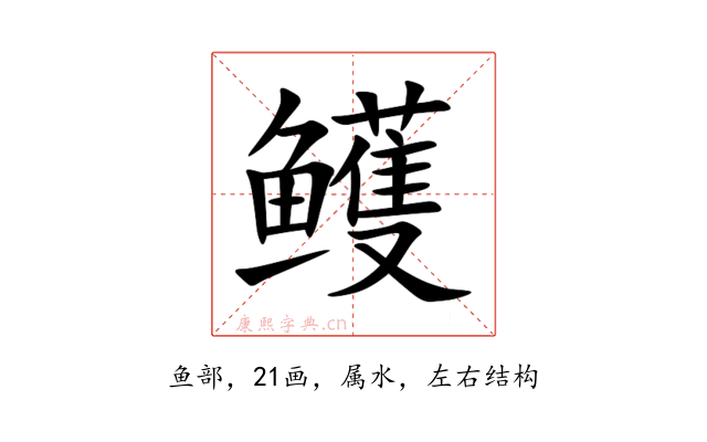鳠