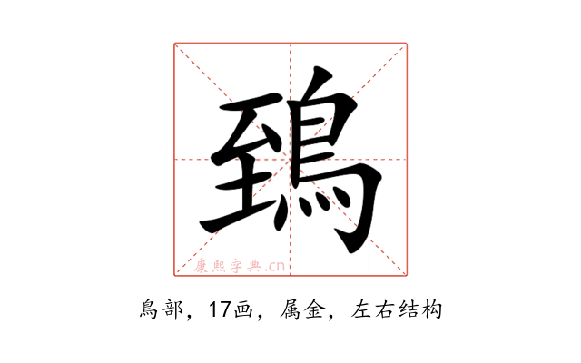 鵄