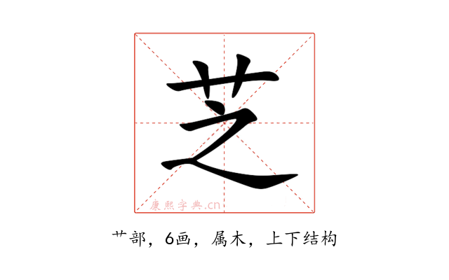 芝