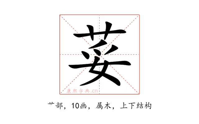 荽