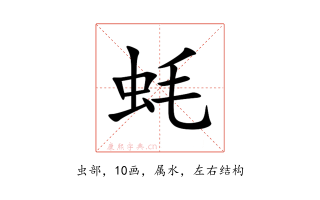 蚝