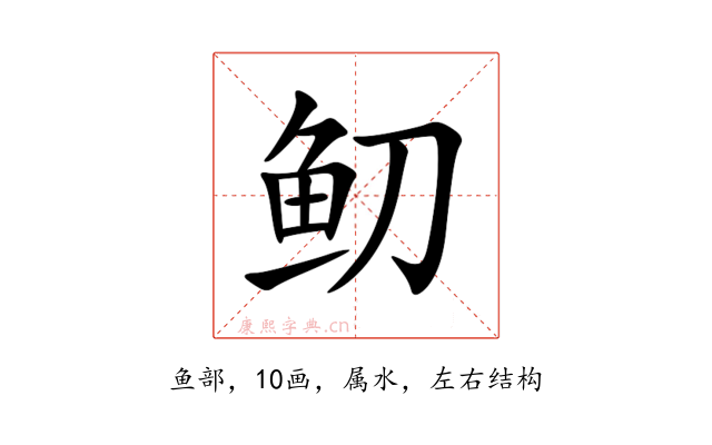 鱽