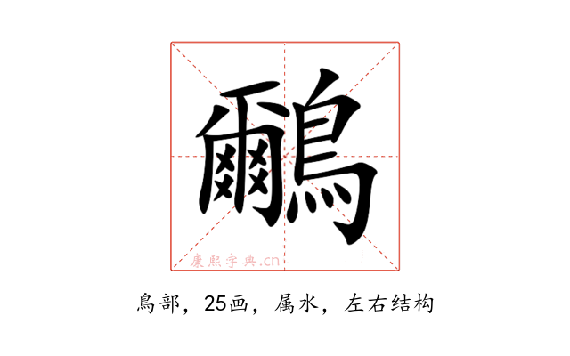 鸍