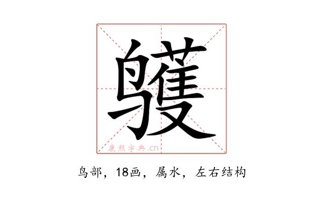 鹱