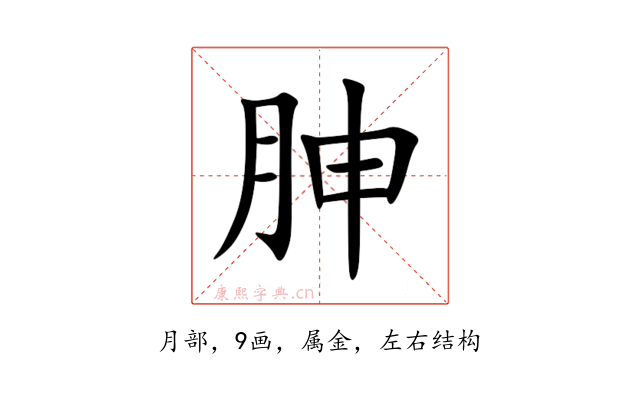 胂